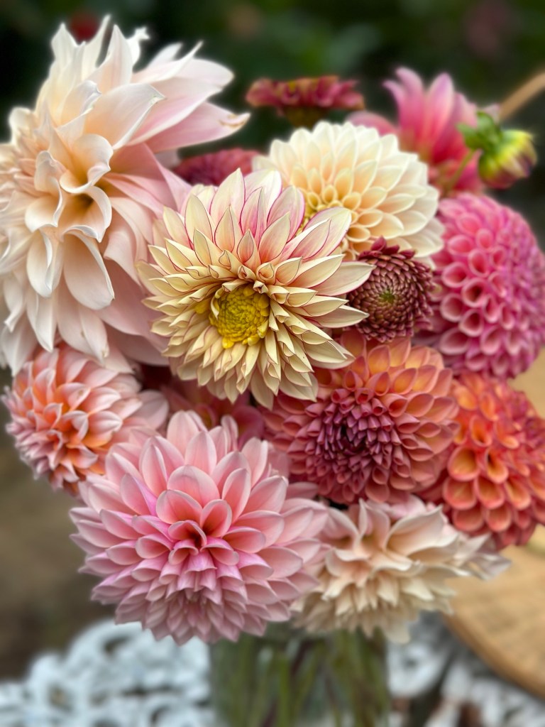 Bouquet of dahlias